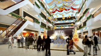 西南国际商贸城2楼商铺均价24500元 ㎡