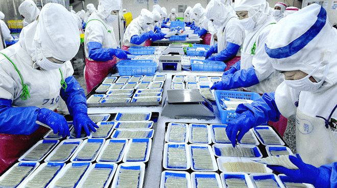 从“原字号”到“产业群” 丹东“蓝色引擎”的逆势崛起与商贸新篇