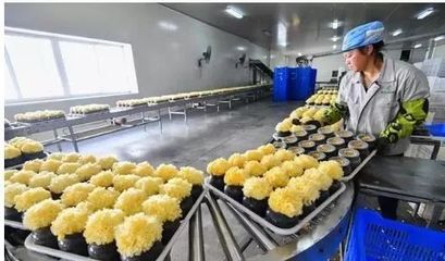 访企业、解难题、促“六稳”——尤溪 深入项目一线为企精准把脉，力促商贸繁荣发展